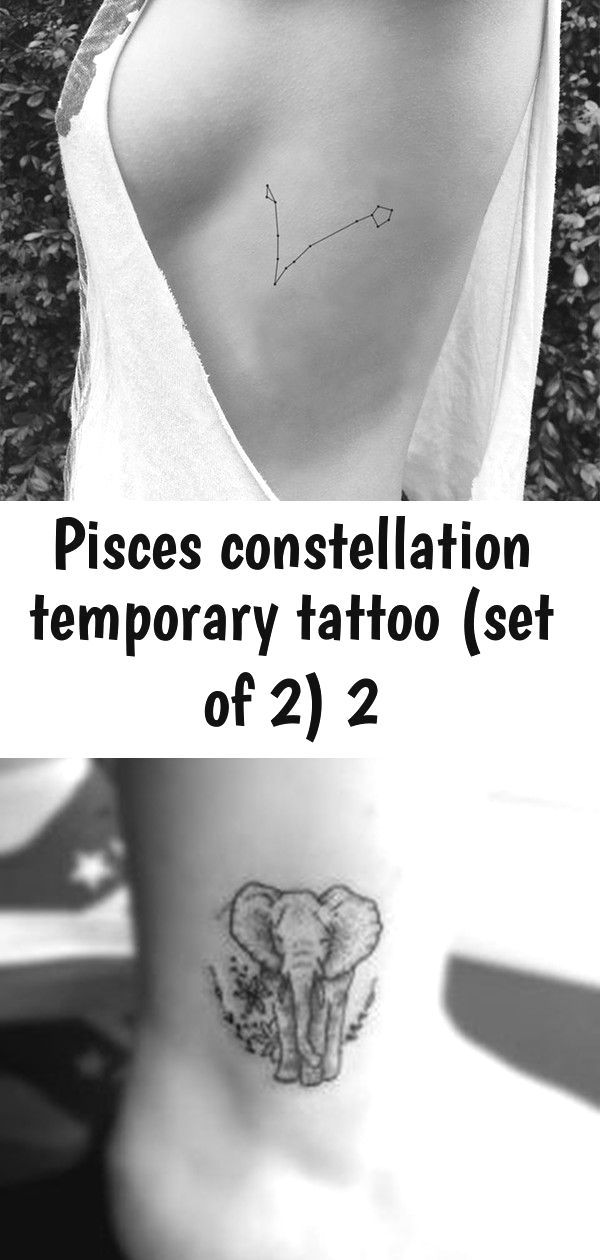 Pisces Horoscope Tattoo Zodiac Sign Fish (96)