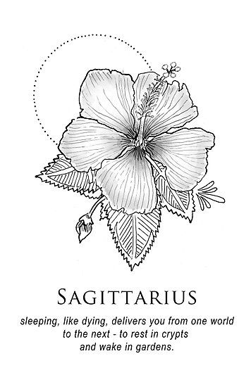Sagittarius Horoscope Zodiac Sign Symbol (3)
