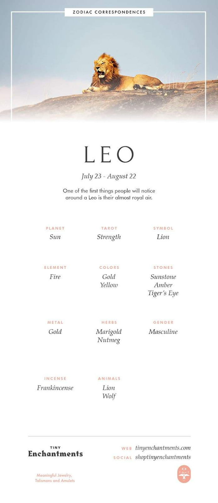 Leo Zodiac Horoscope Sign Symbol Tattoo Designs (11)