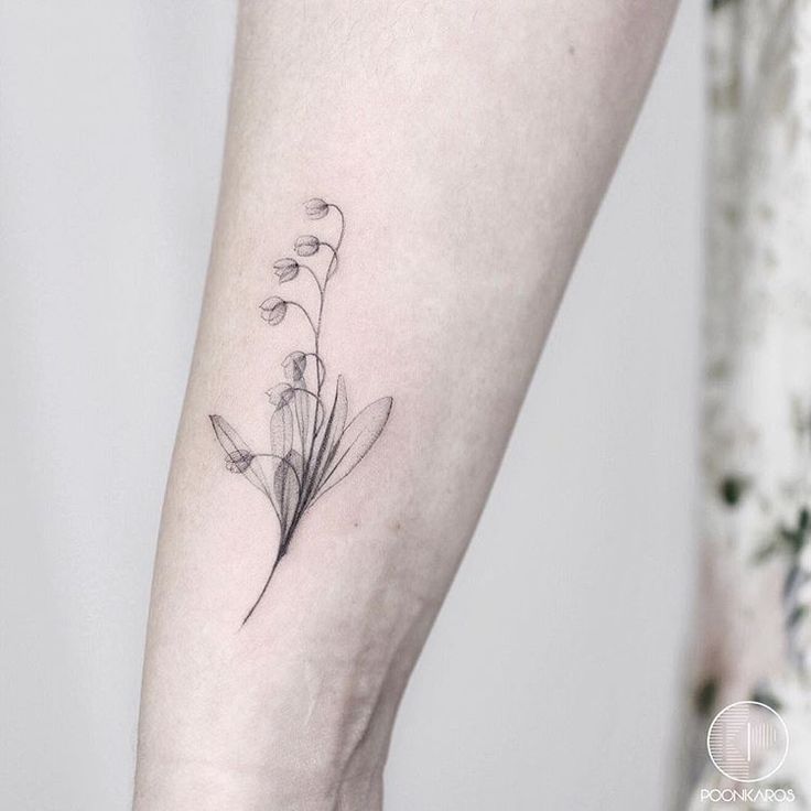 The valley of designs lily tattoo Lily of