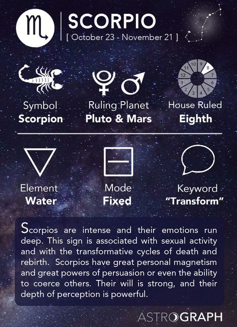 Scorpio Zodiac Horoscope Constellation Sign Symbol Tattoo (152)