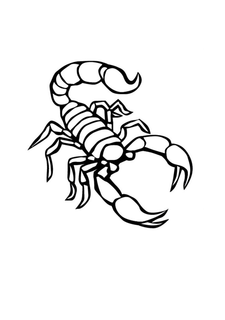 Scorpio Zodiac Horoscope Constellation Sign Symbol Tattoo (168)