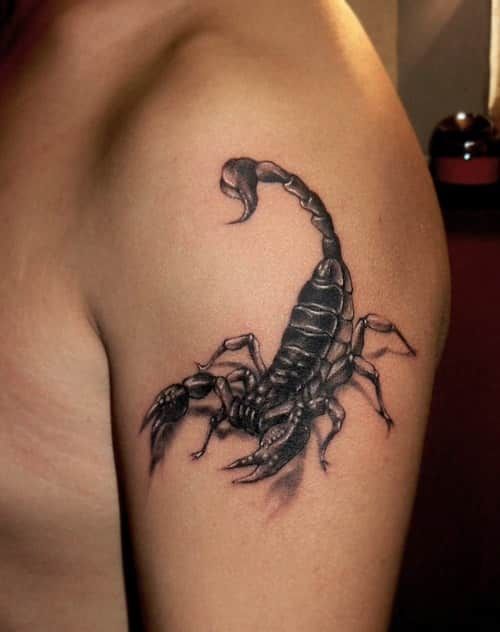 Scorpio Zodiac Horoscope Constellation Sign Symbol Tattoo (200)