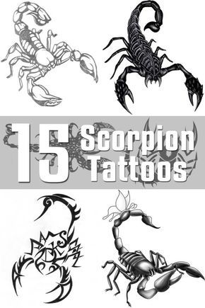 Scorpio Zodiac Horoscope Constellation Sign Symbol Tattoo (205)