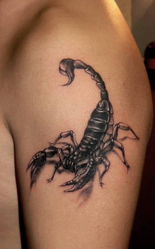 Scorpio Zodiac Horoscope Constellation Sign Symbol Tattoo (60)