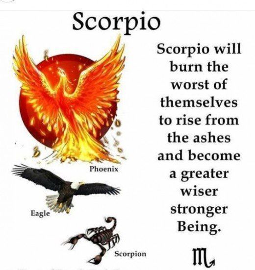 Scorpio Zodiac Horoscope Constellation Sign Symbol Tattoo (92)