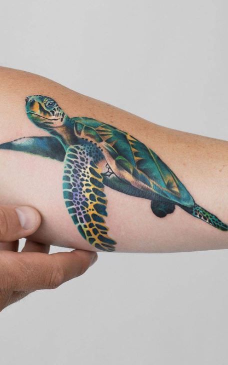 Turtle Tattoos 101