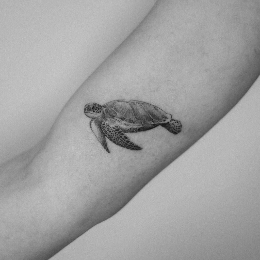 Turtle Tattoos 123