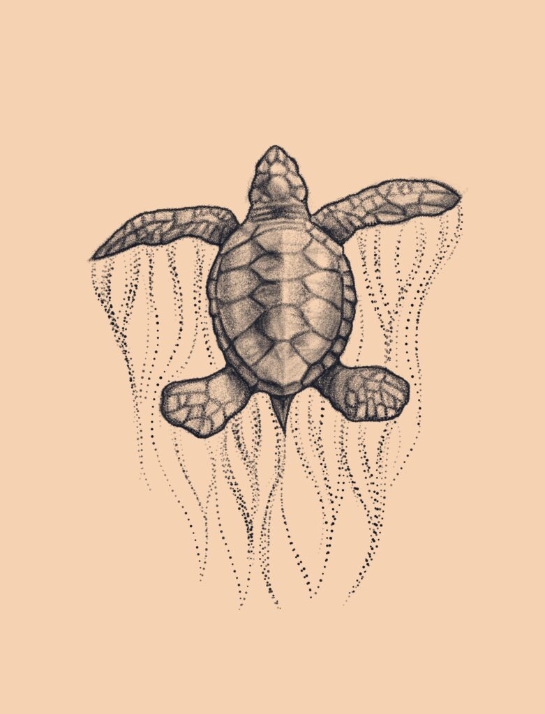 Turtle Tattoos 36