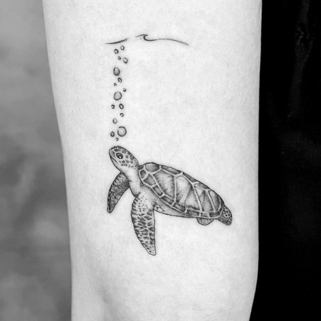 Turtle Tattoos 67