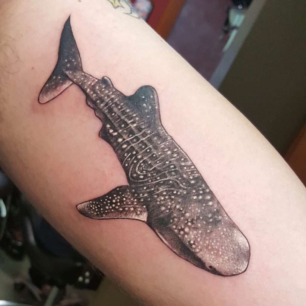 Shark Tattoos 138