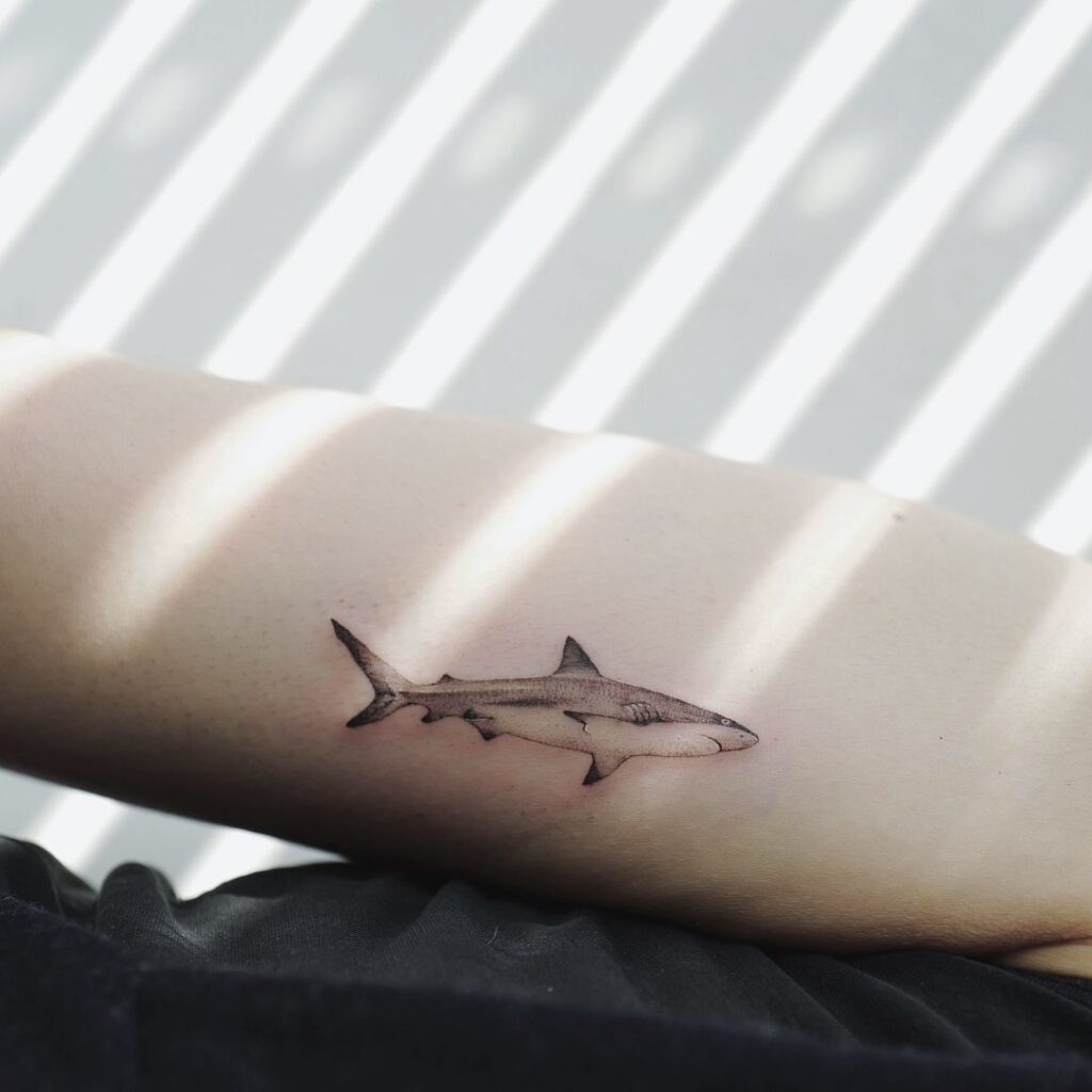 Shark Tattoos 147