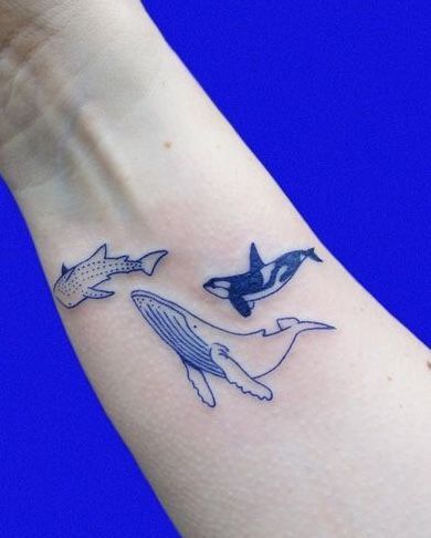 Shark Tattoos 152