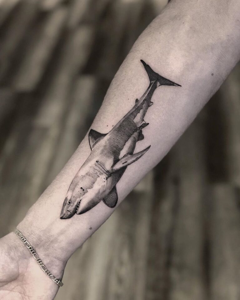 170+ Shark Tattoos Designs with Meanings (2022) - TattoosBoyGirl