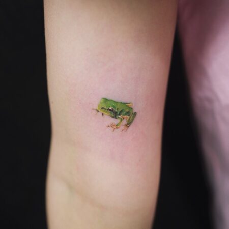 110+ Cool Frog Tattoos Designs With Meanings (2022) - TattoosBoyGirl