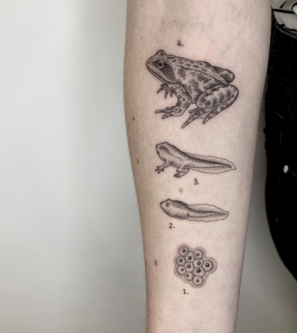 110+ Cool Frog Tattoos Designs With Meanings (2022) - TattoosBoyGirl