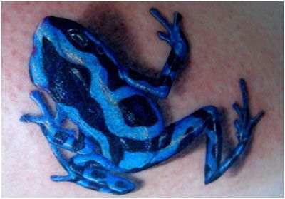 Frog Tattoos 85