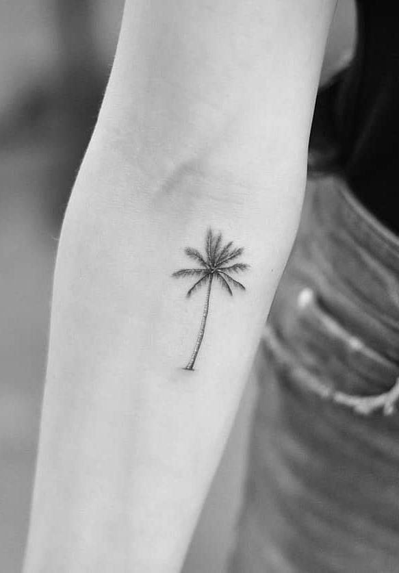 Palm Tree Tattoos 101