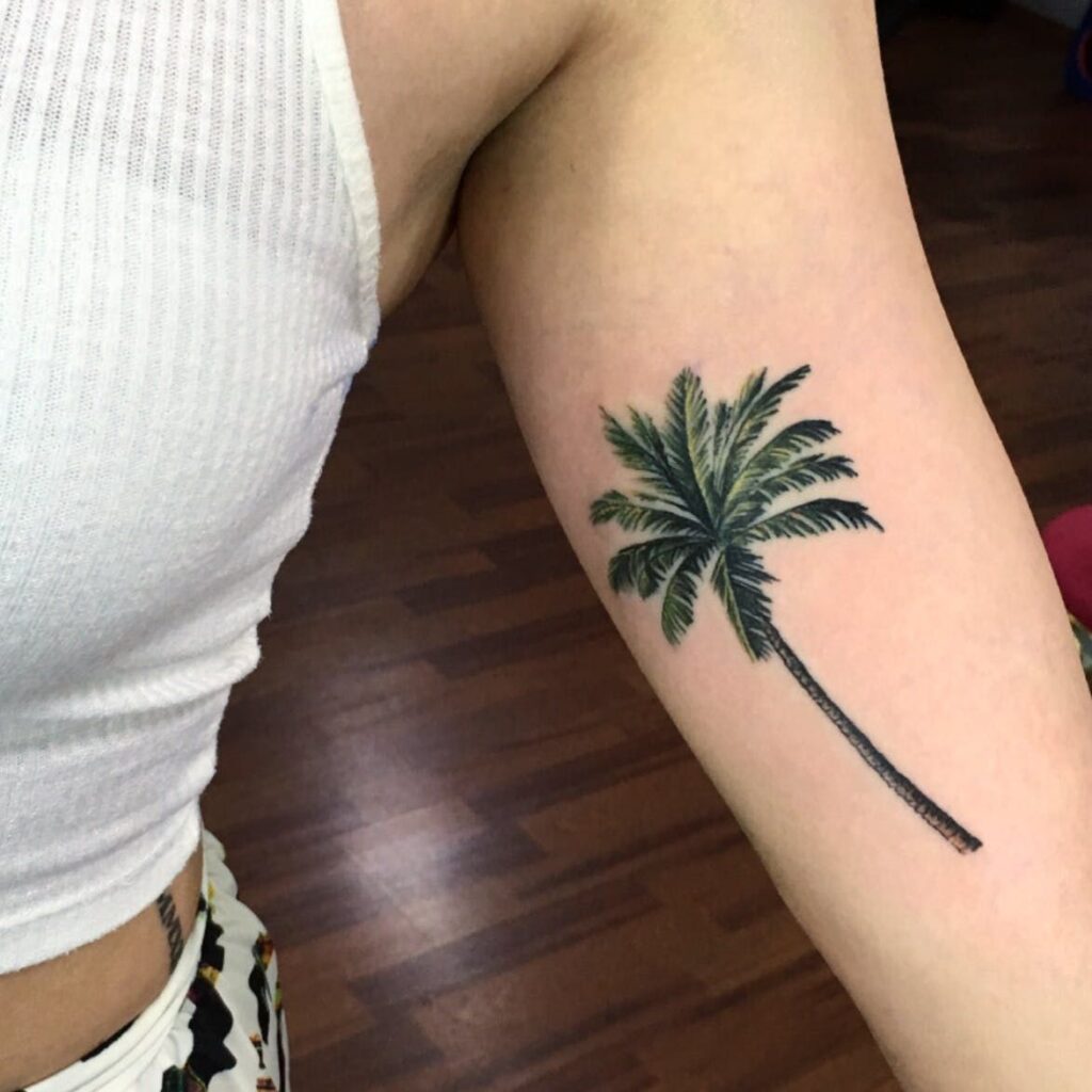Palm Tree Tattoos 104