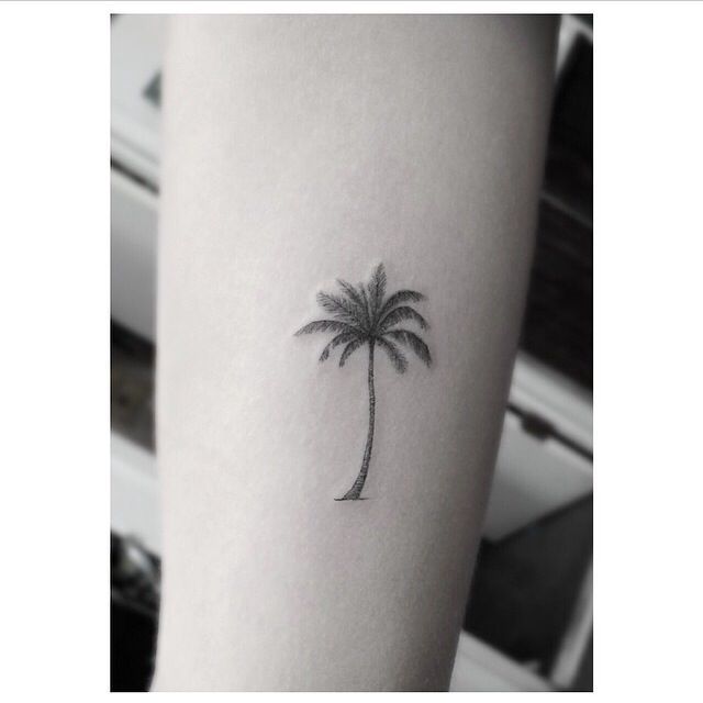 Palm Tree Tattoos 120