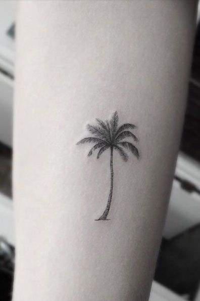 Palm Tree Tattoos 174
