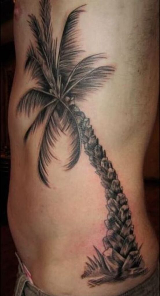 Palm Tree Tattoos 180
