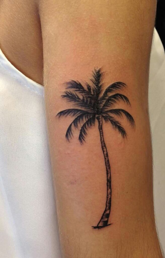 Palm Tree Tattoos 181