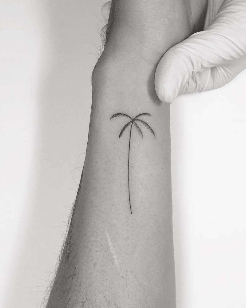 Palm Tree Tattoos 193