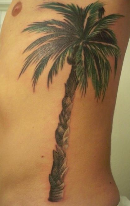 Palm Tree Tattoos 58