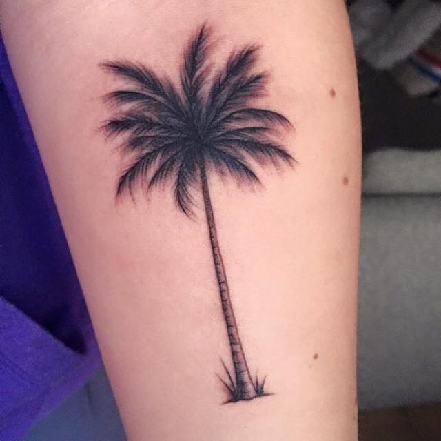 Palm Tree Tattoos 78