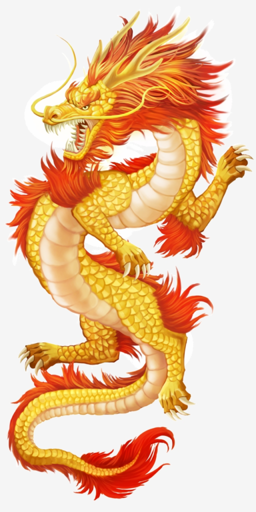 Chinese Dragon Tattoos 3