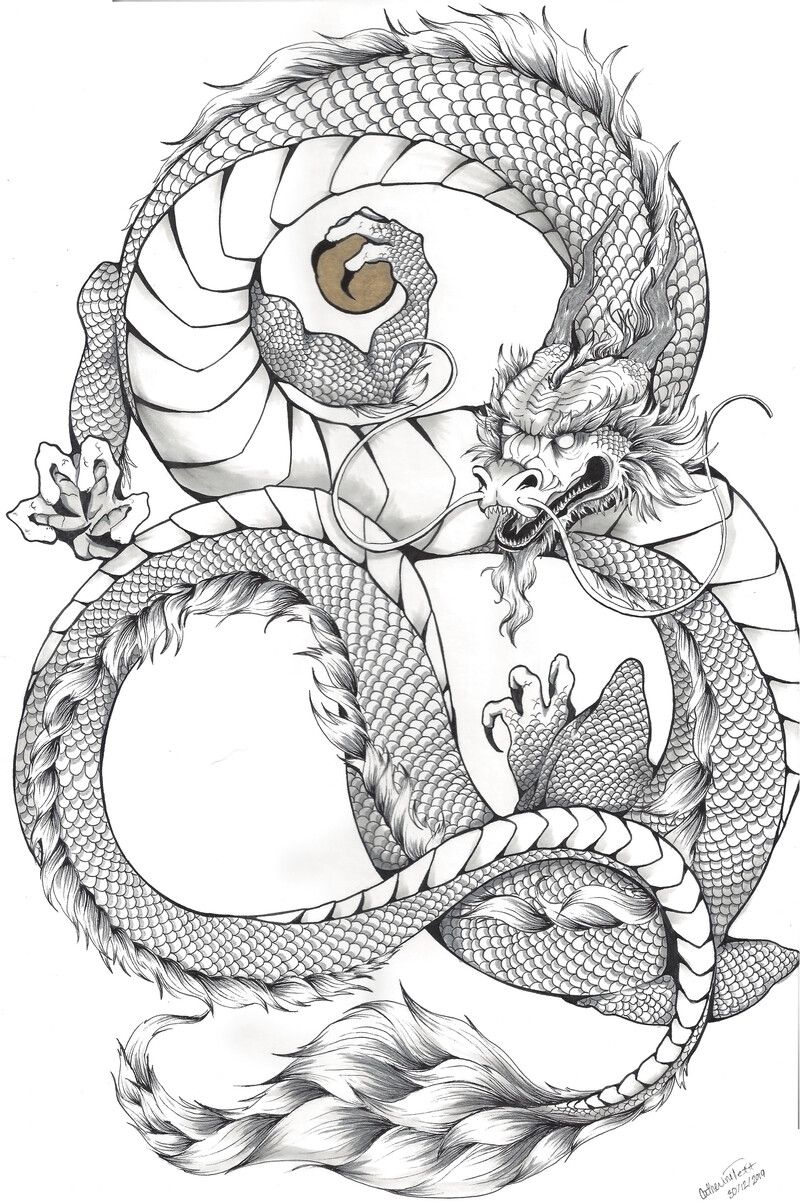 550 Best Chinese Dragon Tattoo Designs With Meaning And Symbolism Jobs Holders 