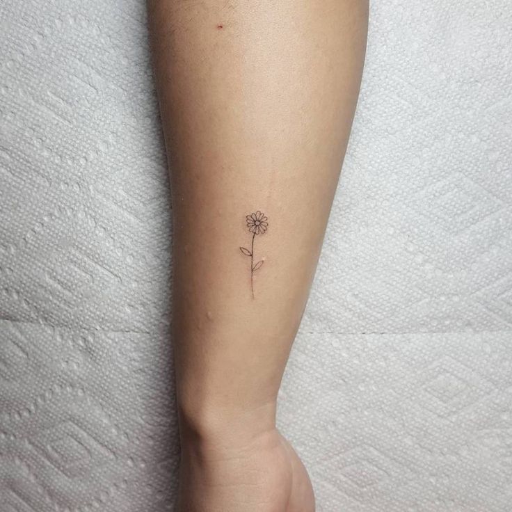 Aster Flower Tattoo  What Does it Mean Illustrated