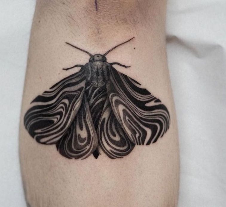 Moth Tattoos 10