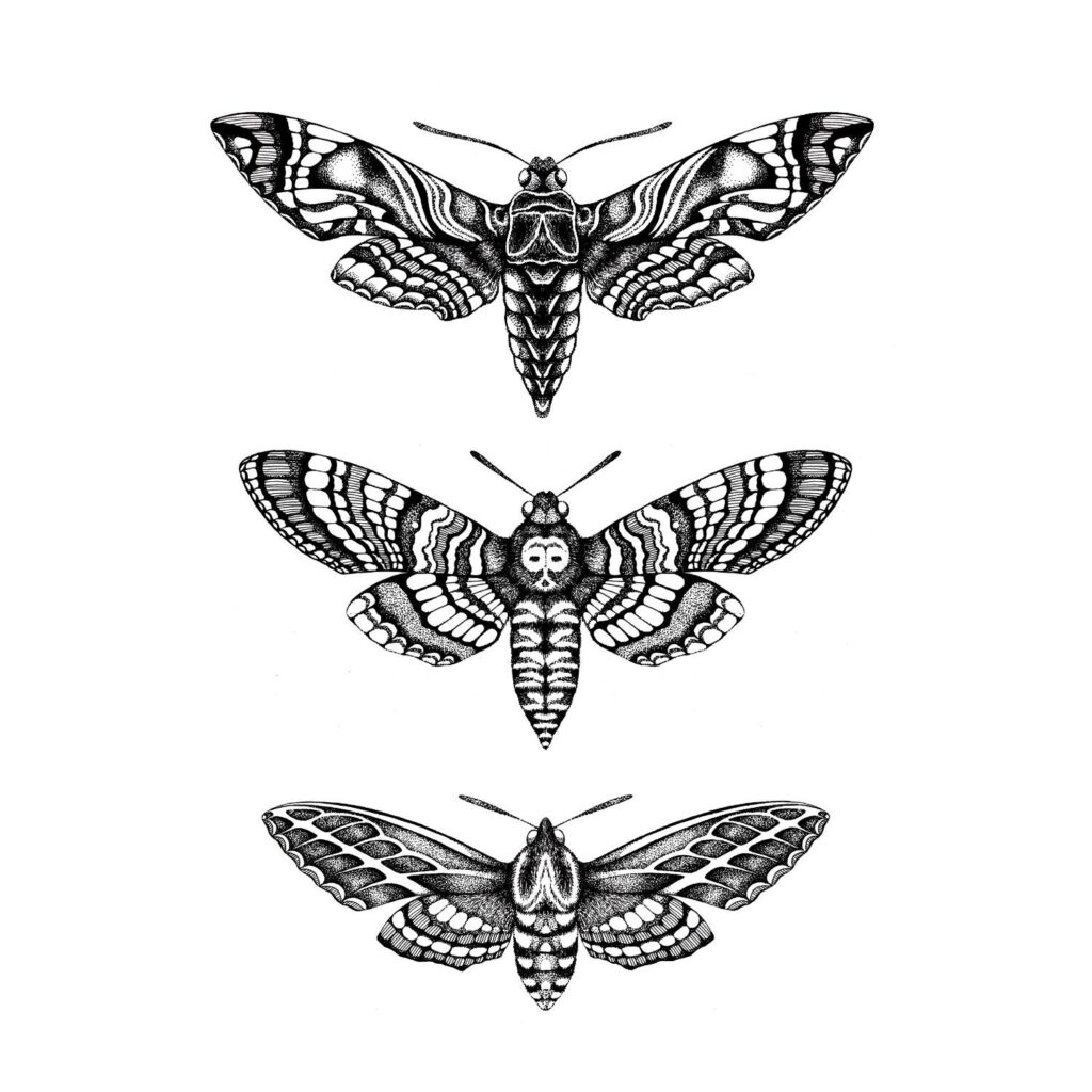 Moth Tattoos 104