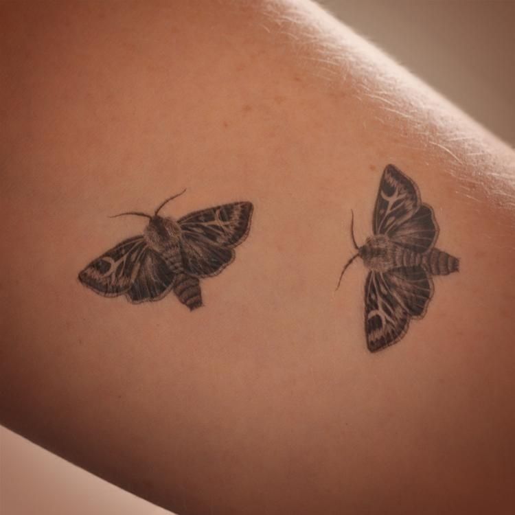 Moth Tattoos 119