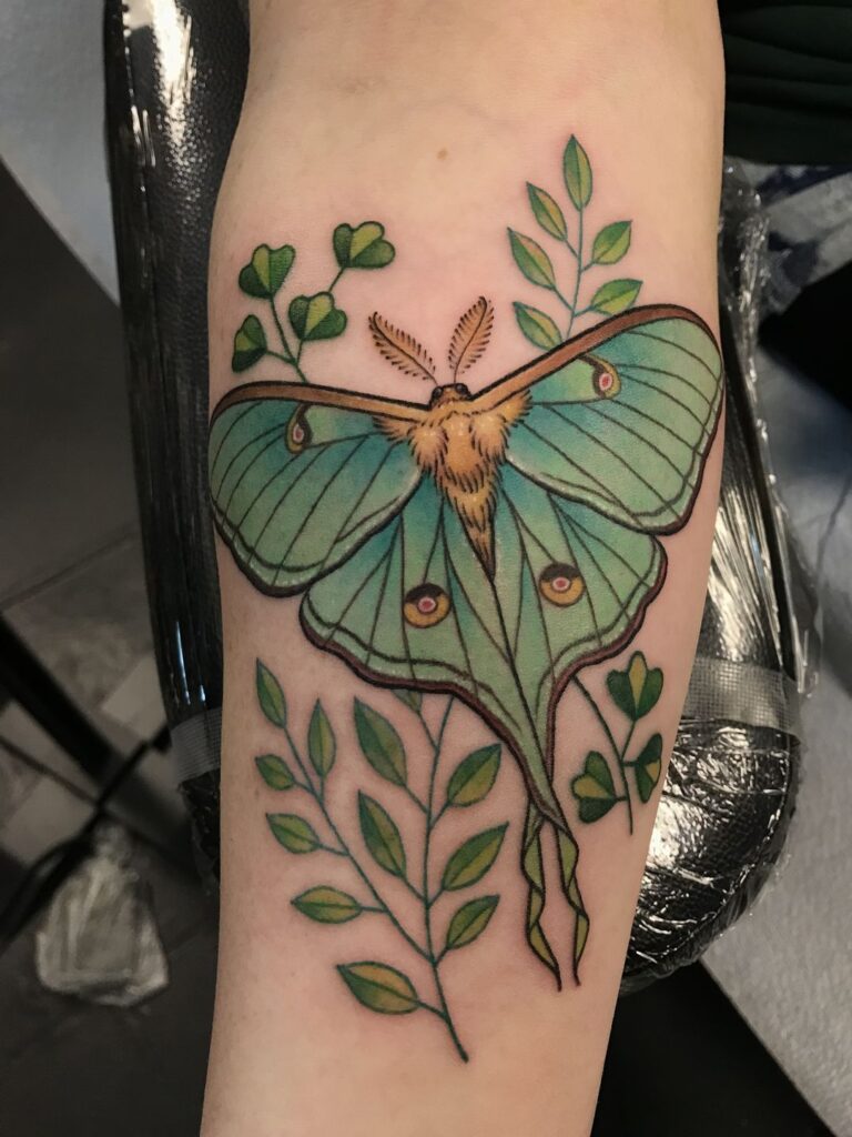 Moth Tattoos 12