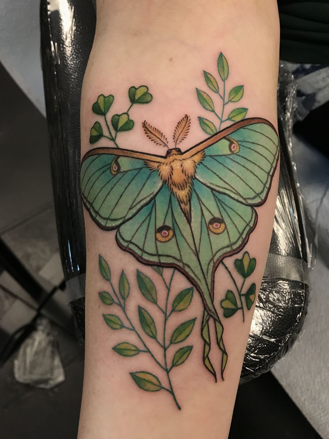 160+ Amazing Moth Tattoos Designs with Meaning (2022) | Top Tattoos