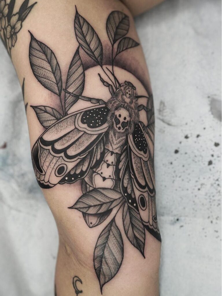 160+ Amazing Moth Tattoos Designs with Meaning (2021) TattoosBoyGirl