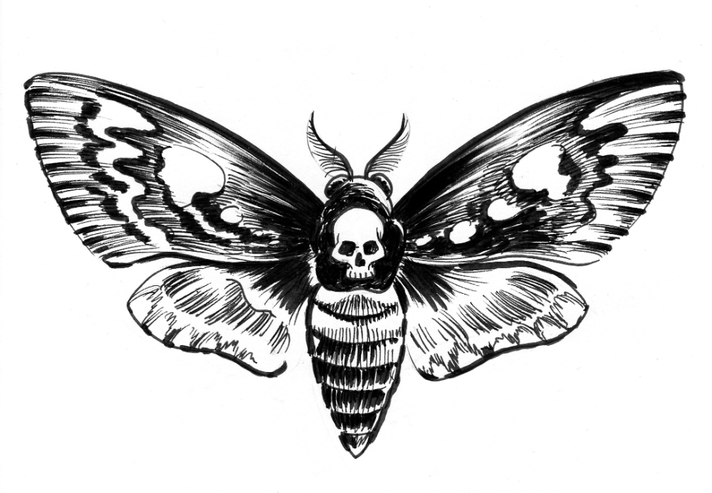 Moth Tattoos 14