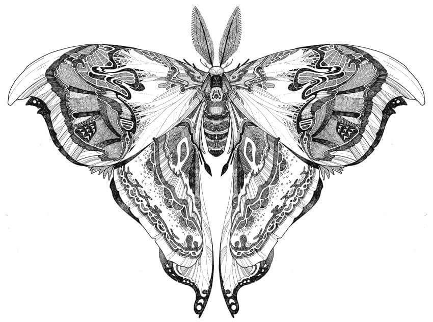 Moth Tattoos 18