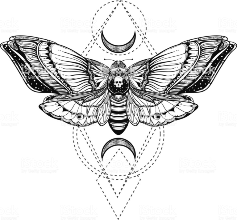 160+ Amazing Moth Tattoos Designs with Meaning (2022) TattoosBoyGirl