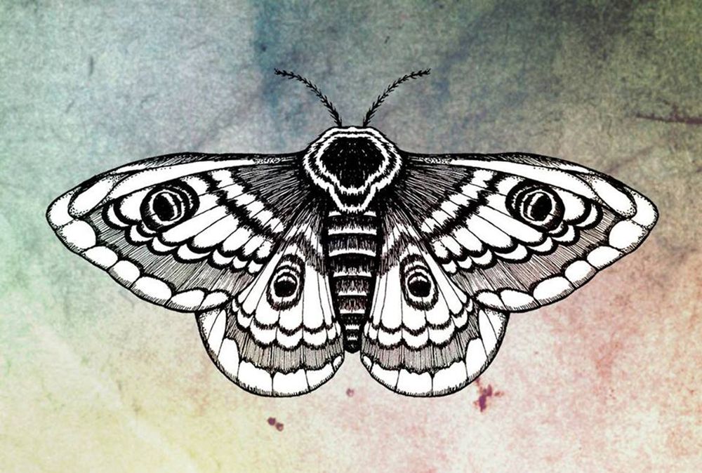 Moth Tattoos 20