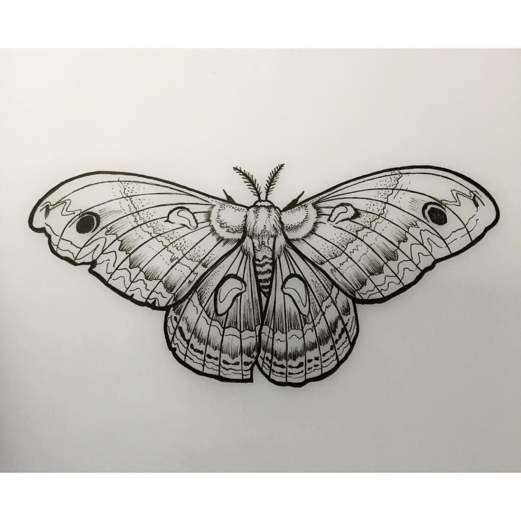 160+ Amazing Moth Tattoos Designs with Meaning (2021) TattoosBoyGirl