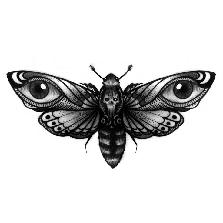 Moth Tattoos 22