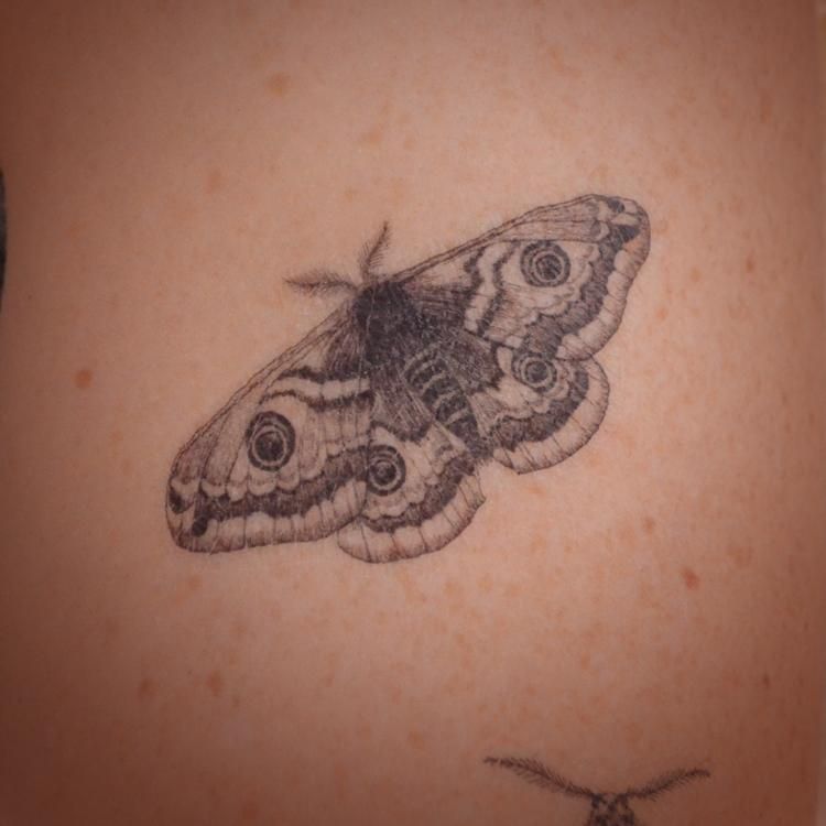 Moth Tattoos 27