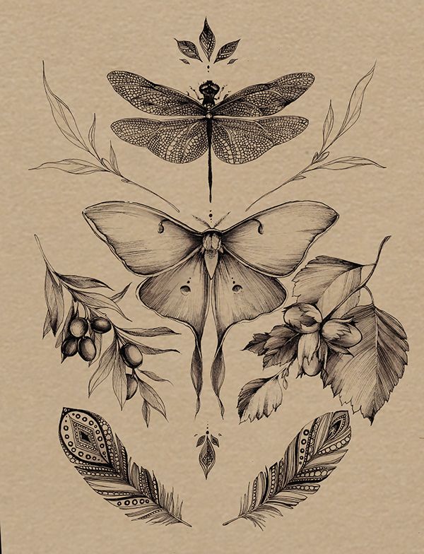 Moth Tattoos 34