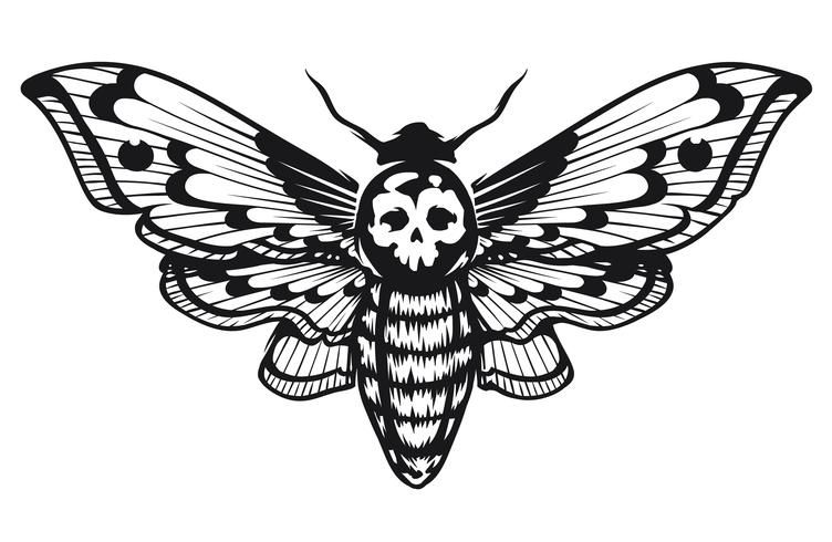 Moth Tattoos 39
