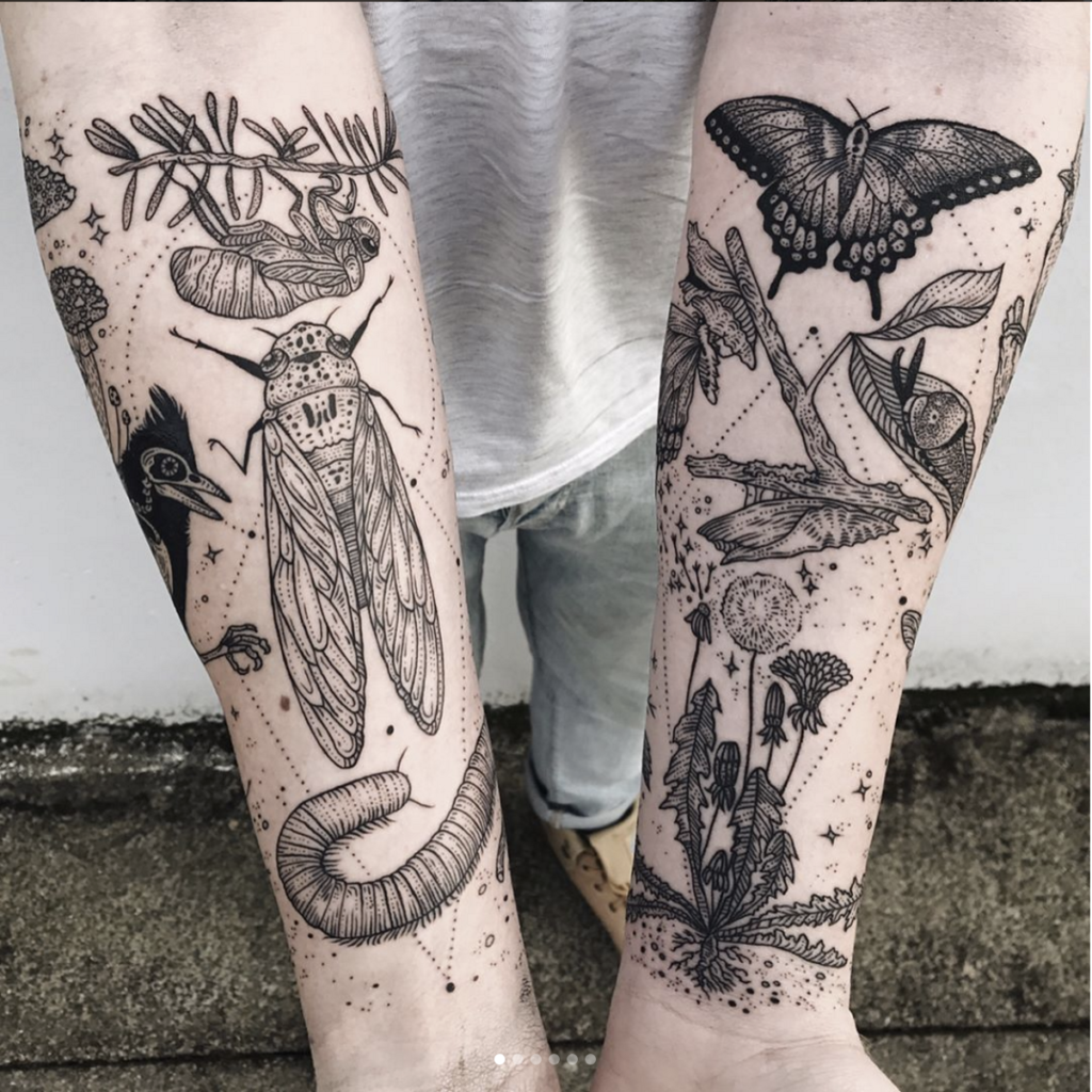 Moth Tattoos 4