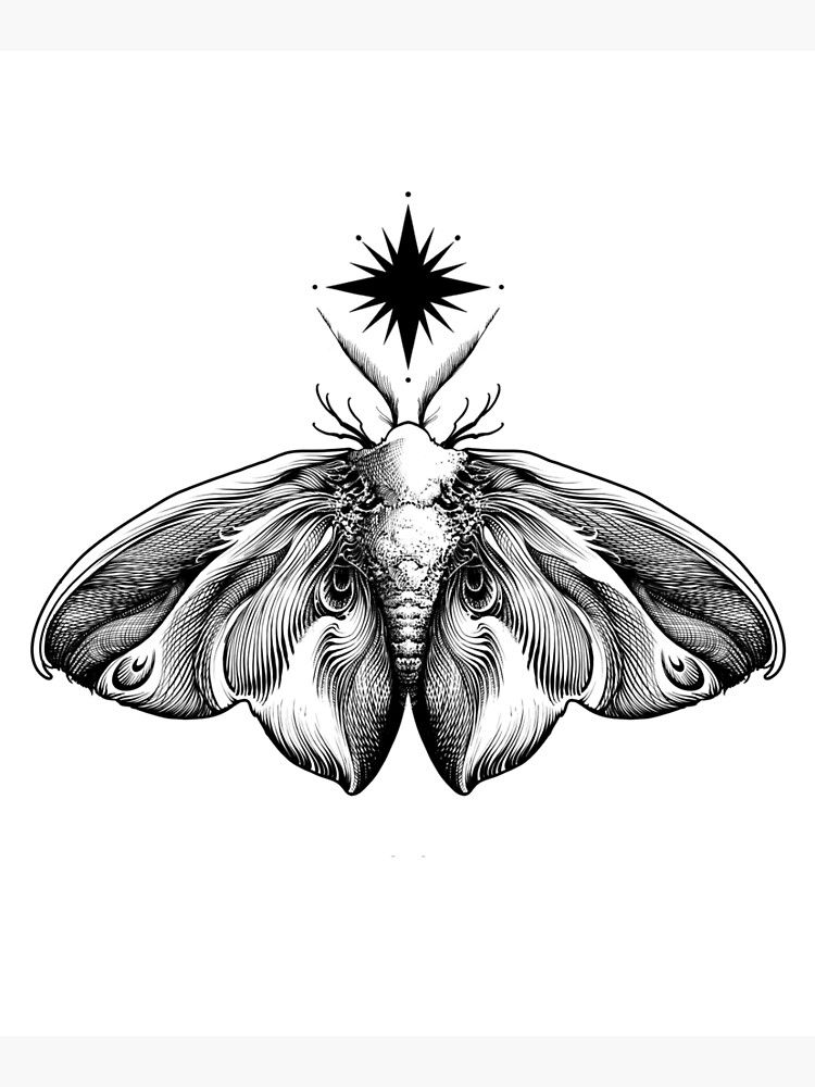 Moth Tattoos 43